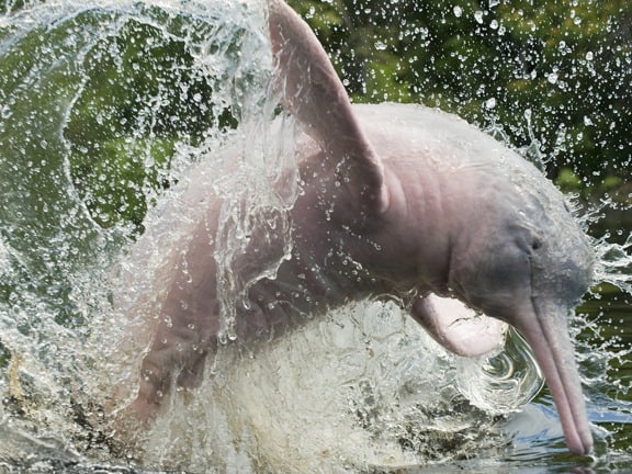 Amazon Amazon Our Top 10 Adventure Travel Destinations For 2012