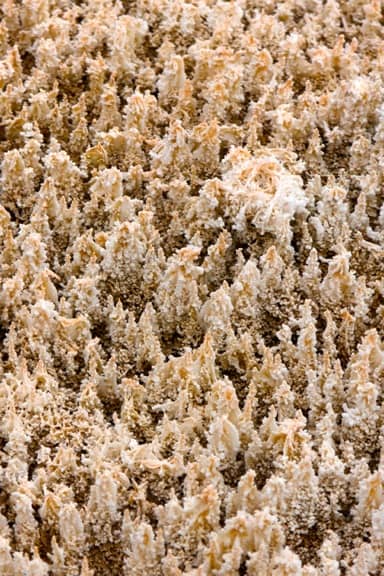 Bizarre Geological Formations in Mammoth Hot Springs Yellowstone National Park YELLOWSTONE NATIONAL PARK  Day 1 Photo Gallery