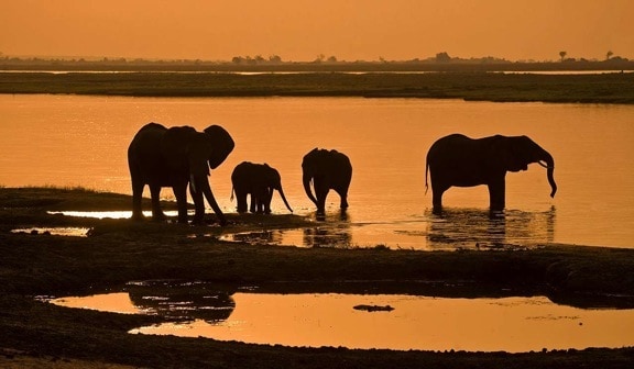 Botswana Botswana Our Top 10 Adventure Travel Destinations For 2012