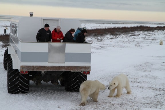 Churchill Churchill Our Top 10 Adventure Travel Destinations For 2012