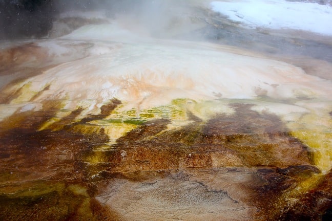 Dryad Spring in Mammoth Hot Springs Yellowstone National Park YELLOWSTONE NATIONAL PARK  Day 1 Photo Gallery