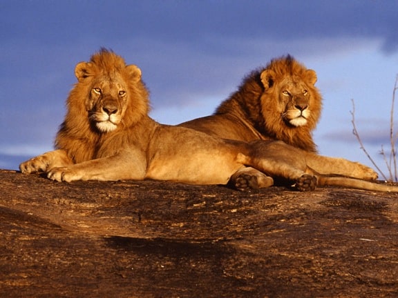 Kenya Kenya Our Top 10 Adventure Travel Destinations For 2012