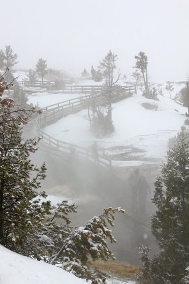 Shrouded In Fog In Mammoth Hot Springs Yellowstone National Park YELLOWSTONE NATIONAL PARK  Day 1 Photo Gallery